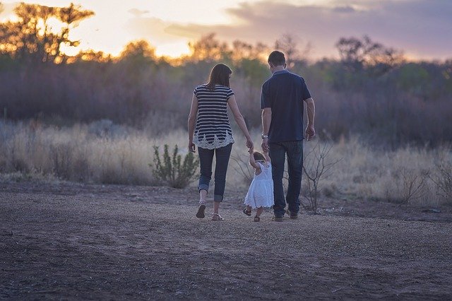 Assegno per i nuclei familiari con almeno tre figli minori e assegno di maternità - Anno 2019
